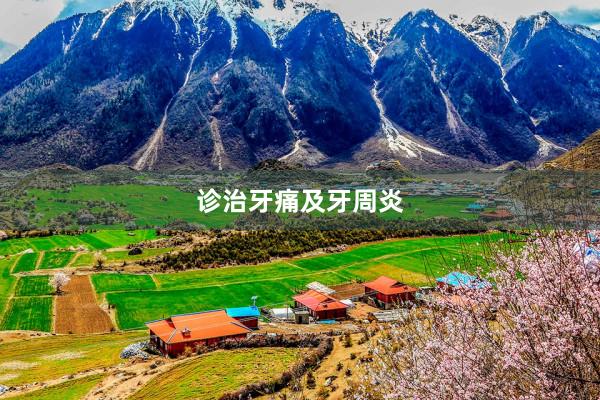 诊治牙痛及牙周炎