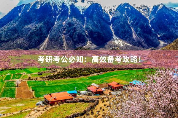 考研考公必知：高效备考攻略！