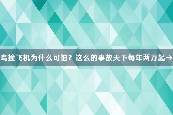 鸟撞飞机为什么可怕？这么的事故天下每年两万起→